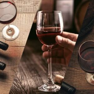 aprenda a escolher o vinho certo para cada tipo de prato Blog