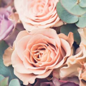 saiba o significado da flores na hora de decorar Blog